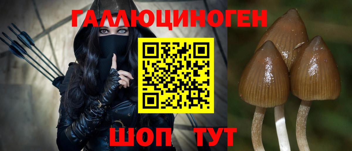 Псилоцибиновые грибы Cubensis  Галлюциногенные грибы Cubensis  Димитровград  Вход с VPN 